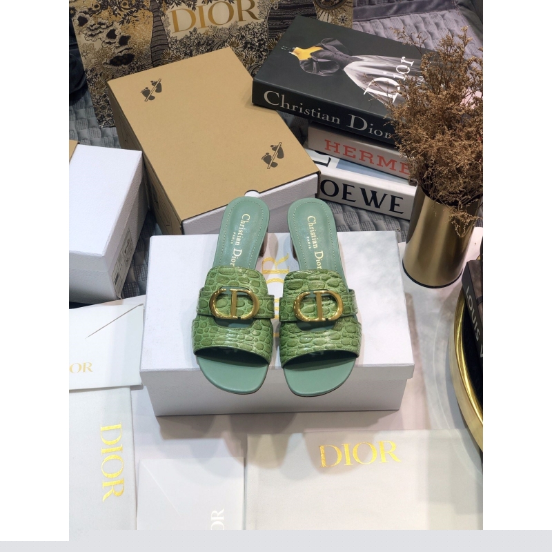 ch**an D*or slippers